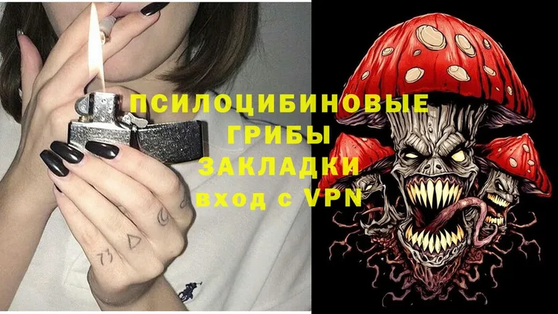 Галлюциногенные грибы Magic Shrooms  OMG зеркало  Северск  магазин  наркотиков 